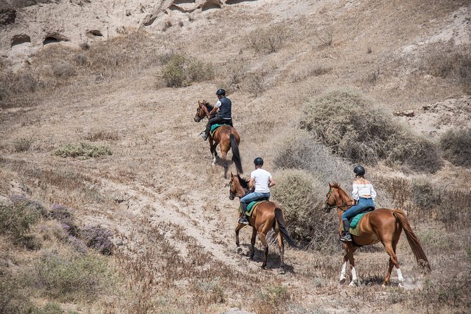 Santorini Horse Riding to Black Sandy Beach - A practical stop near Vlychada Beach