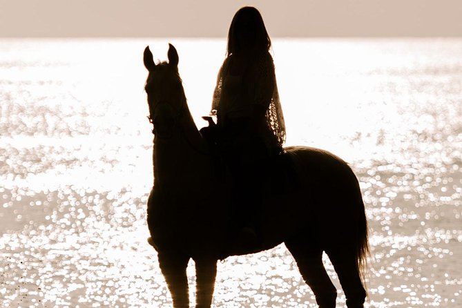 Santorini: Horse Riding to the Black Sandy Beach (Eros beach) - Why Ride to Eros Beach Instead of Just Visiting It
