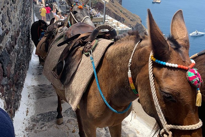 Santorini: Local Life Full Day Tour - What the Guides Add: Warmth, Humor, and Real Flexibility