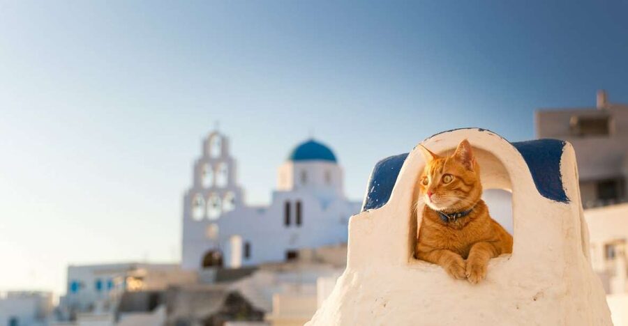 Santorini: Private 4-Hour Chauffeur Service - Why a private chauffeur-guide beats the stress in Santorini