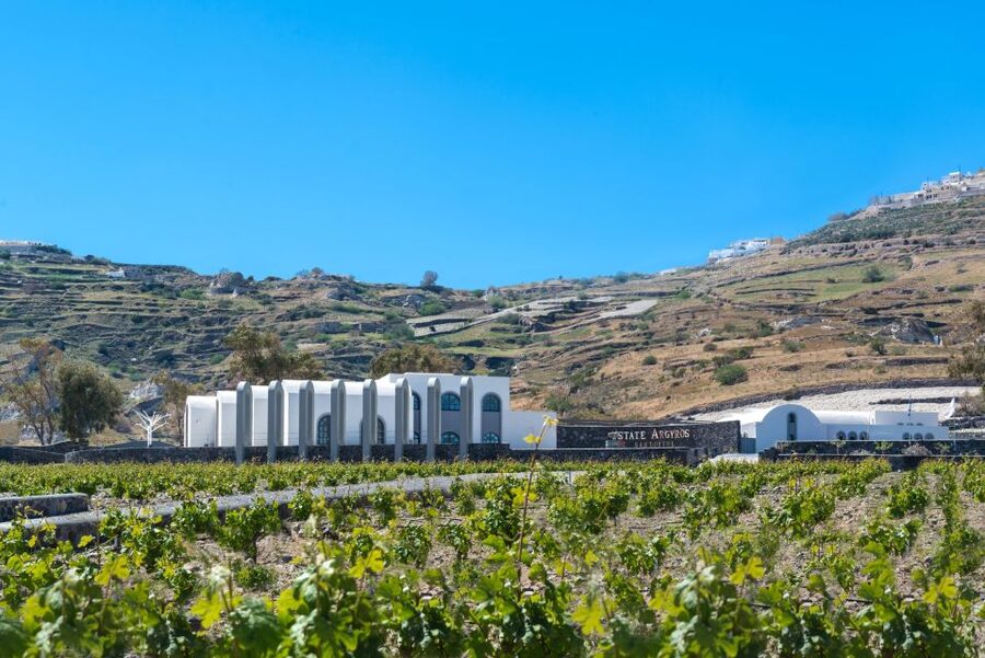 Santorini: Private 5-Hour Hidden Gems Experience - Argyros Estate Winery Tasting: Indigenous Wines and a Cheese Platter