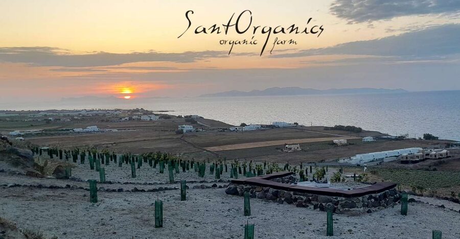 Santorini: Private Agri-Educational Visit to an Organic Farm - Key things to know before you go