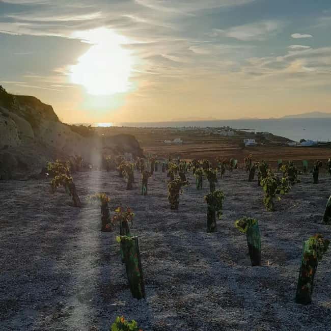 Santorini: Private Agri-Educational Visit to an Organic Farm - FAQ