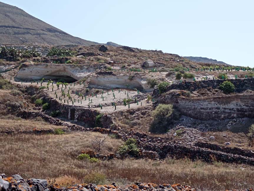 Santorini: Private Agri-Educational Visit to an Organic Farm - Finding the farm, then walking a few meters on cobblestones