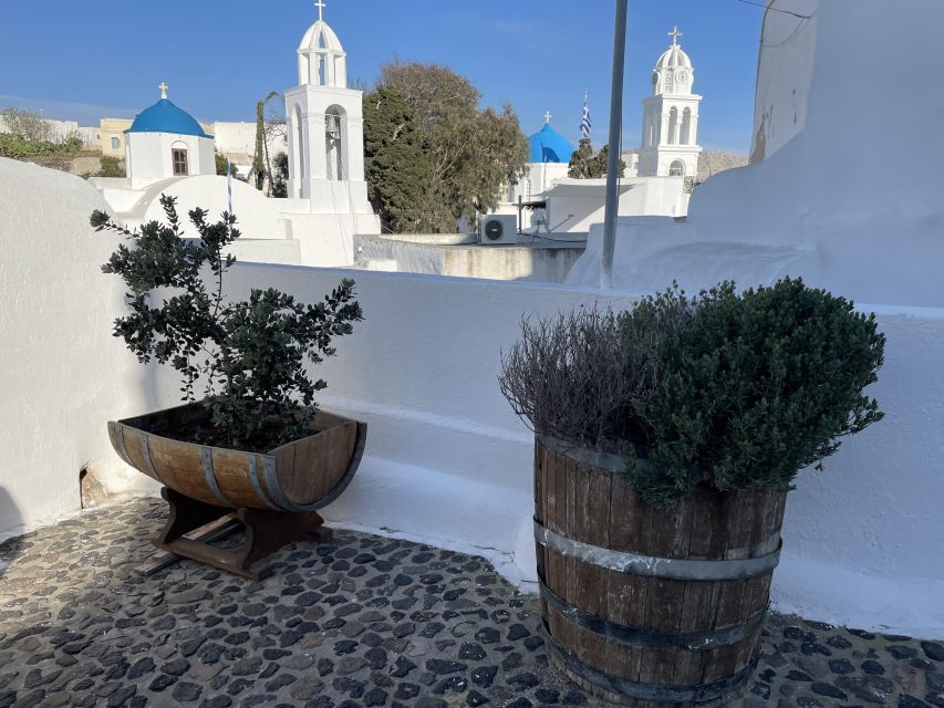 Santorini Private Daytime Wine Tour with Certified Sommelier - Who this tour fits best (and who should reconsider)