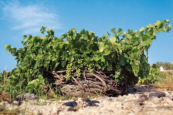 Santorini Private Highlights Tour & Wine Tasting with local guide - Price and what you actually get for $167.76