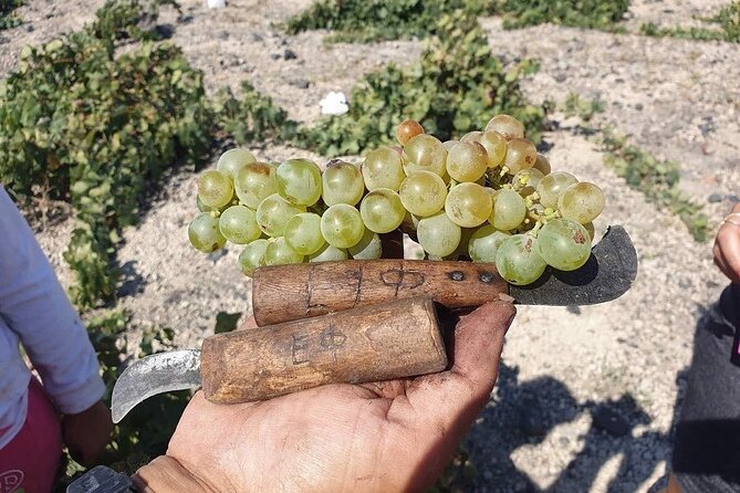 Santorini Private Highlights Tour & Wine Tasting with local guide - Prophet Elias Monastery on Mount Profitis Ilias: the view stop