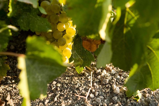 Santorini Private Wine and Food Tour - Venetsanos Cliffside Tasting: Views First, Then Wine