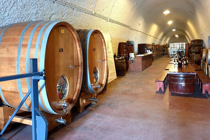 Santorini Private Wine Tasting Experience with private sommelier - Stop 1 in Santorini: 30 minutes, 12 labels, and a fast education