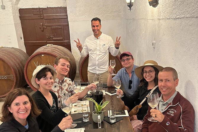 Santorini Private Wine Tasting Tour: Up to 4 Wineries & Lunch - Gaia Winery by the Sea: Santorini Glasses Plus Nemea Reds