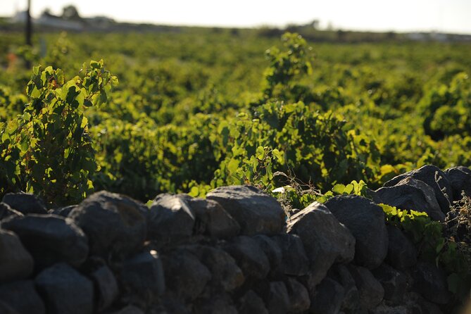 Santorini Private Wine Tour with Dinner & Oia Sunset - Megalochori Winery Stop: Traditional Tasting Since the 1950s