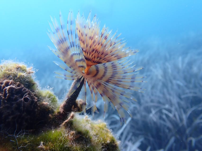 Santorini: Scuba Diving - Equipment, Snacks, and the Details That Make It Feel Finished