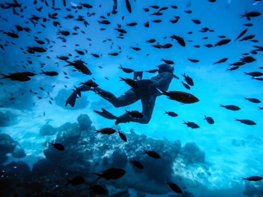 Santorini: Scuba Diving Experience for Beginners - Key things I’d plan around