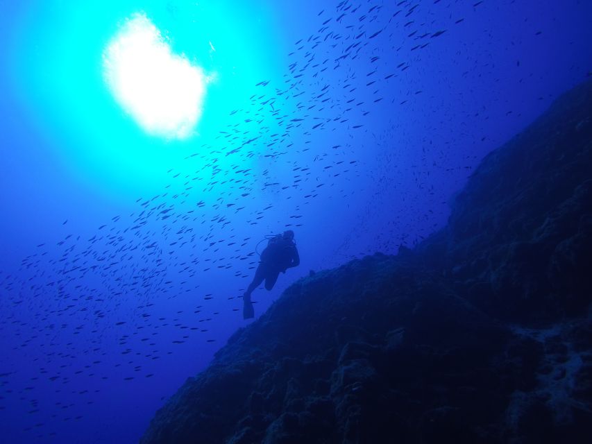 Santorini: Scuba Diving Experience for Beginners - Who this Santorini scuba session is best for