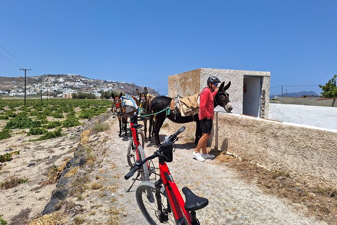 Santorini Small Group Guided E-bike Tour & Local Tomato Museum - Value for $144.82: what you get, and what you skip