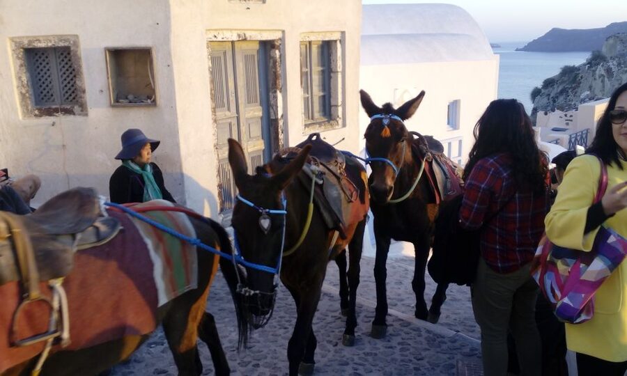 Santorini: Small-Group Highlights Tour of Venetian Castles - Old Winery Wine Tasting With Real Island Flavor