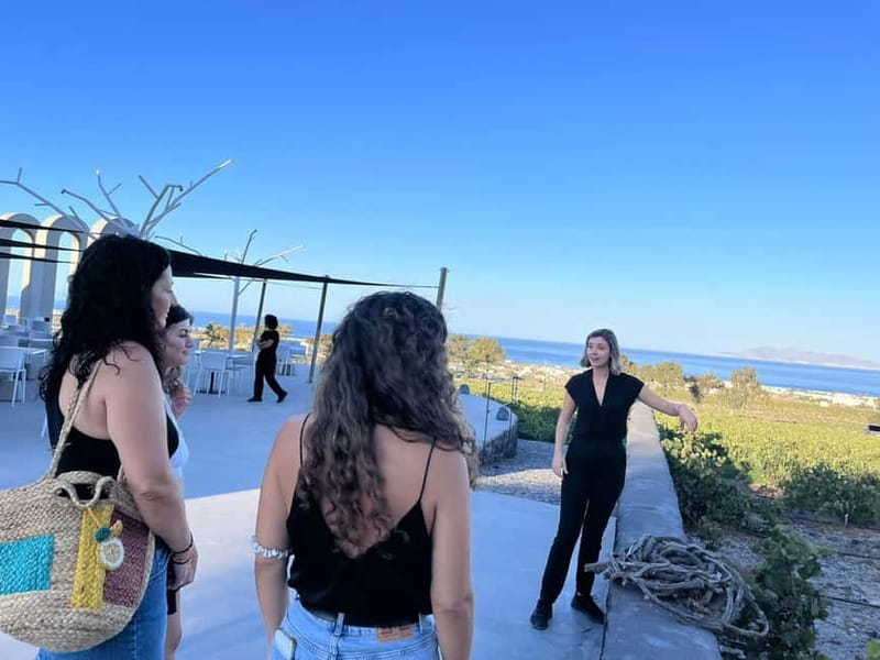 Santorini: Small Group Tour of 3 Local Wineries - Who should book this Santorini wine tour