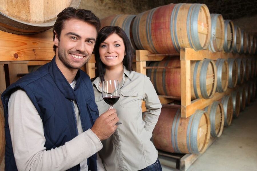 Santorini: Tour of Wineries with Wine Tasting & Food - Stop one, vineyards and the first tasting with local snack plates