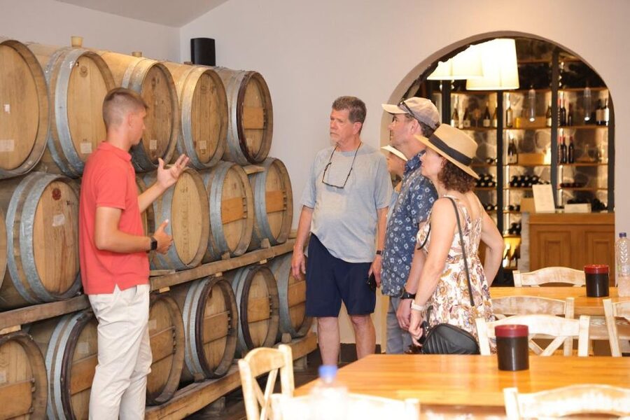 Santorini: Vineyard and Winery Tour with Cooking Class - Key moments that make this tour work