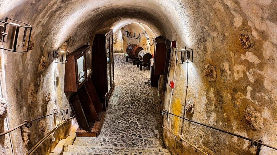 Santorini Visit Cave Wine museum and Wine tasting - Price and value: does $100 make sense?