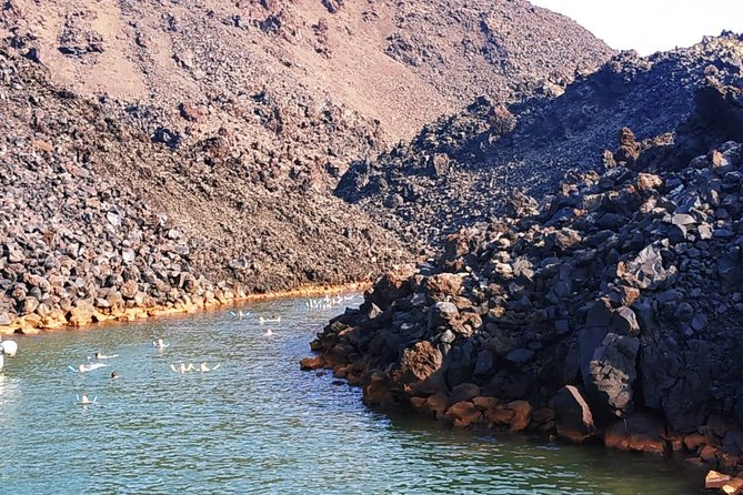 Santorini Volcanic Islands Cruise: Volcano, Hot Springs and Thirassia - Thirassia and Manolas: stairs, donkey options, and a slower island feel
