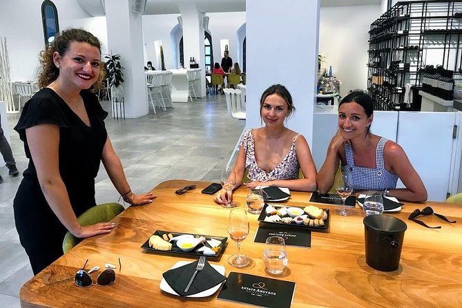 Santorini Wine and Food Experience with pick up included - Artemis Karamolegos: Assyrtiko focus and the old-vine story