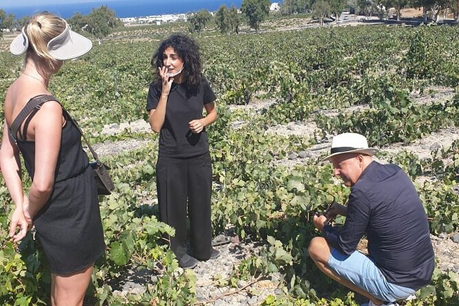 Santorini Wine Secrets - Price and value: what you’re paying for at $221.68