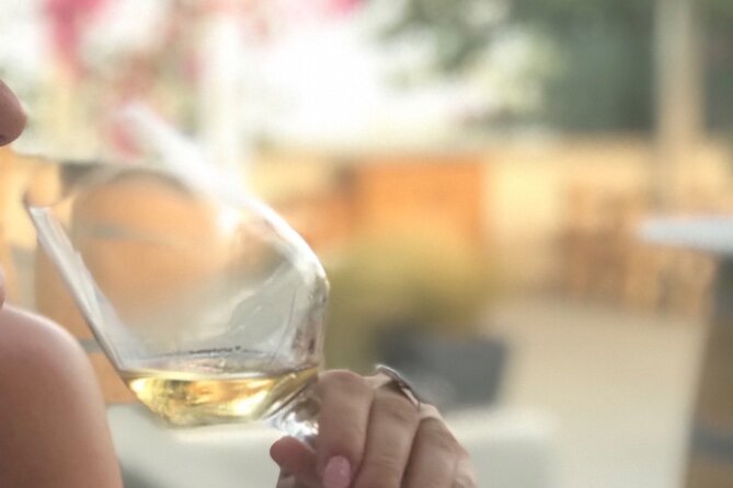 Santorini wine tasting and Traditional Cave Settlement Tour - Key Things to Know Before You Go