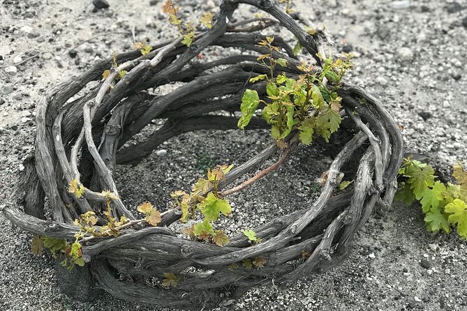 Santorini wine tasting and Traditional Cave Settlement Tour - Group Size That Keeps the Day From Feeling Rushed