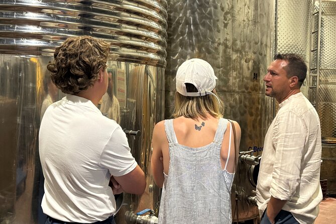 Santorini Wine Tour: 2 Wineries with Tastings & Local Snacks - Pickup in Steep Santorini: Plan to Meet Close, Not Exactly