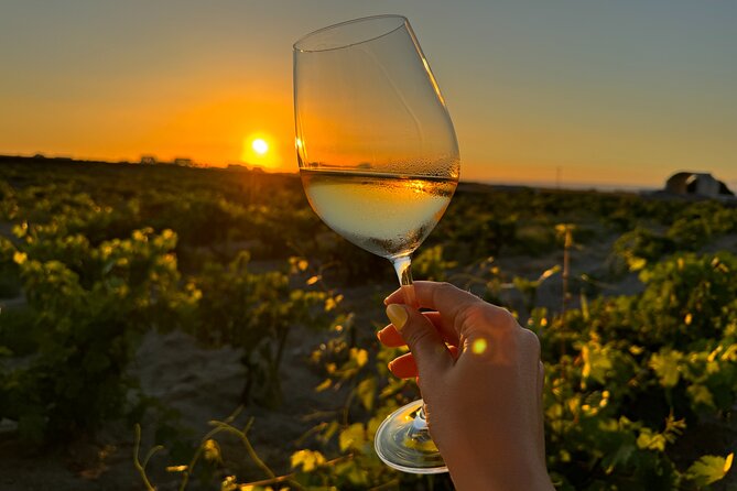 Santorini Wine Tour: 2 Wineries with Tastings & Local Snacks - Your Sommelier Guide: What You’ll Notice Fast
