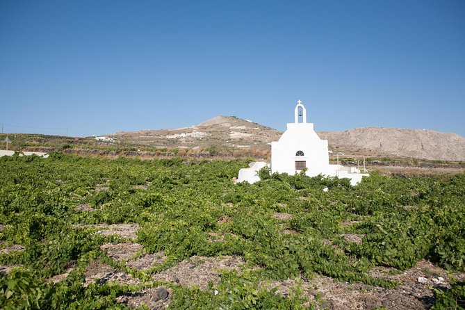 Santorini Wine Tour: Taste 12 best wines & 3 beers with pairings - Art Space: cave-like setting and winery tour time