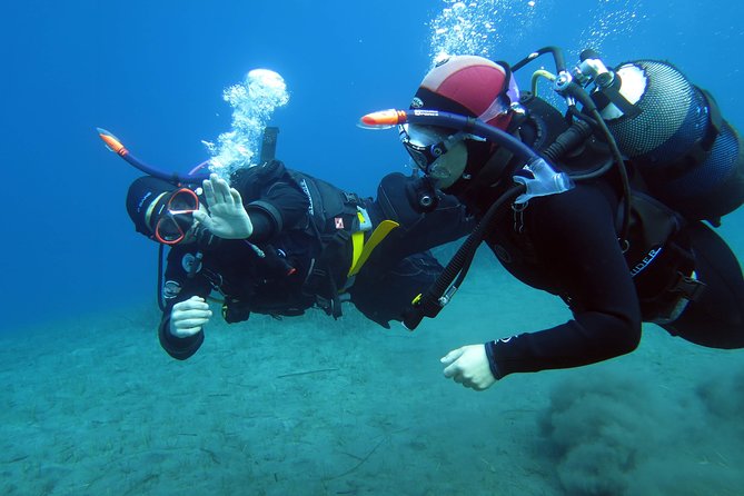 Scuba Diving Experience in Santorini - The volcanic reef: why this site is special (and what that means for you)