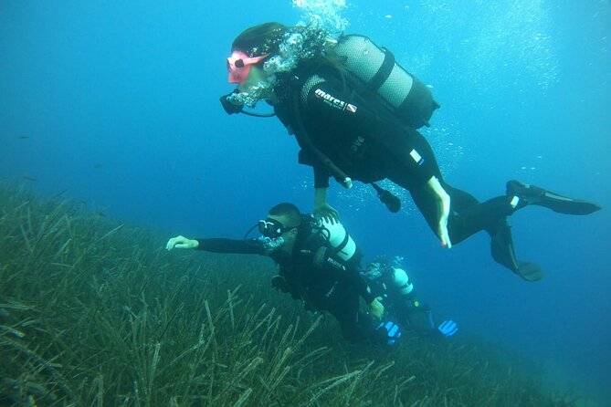 Scuba Diving Experience in Santorini - Safety and flight timing: the 12-hour rule you should plan around