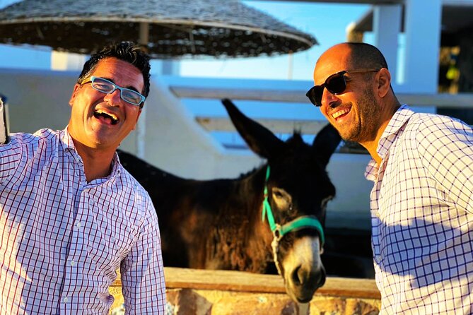 Smooth and Fun Taste of Santorini Private Tour - The travel value question: is it worth it?