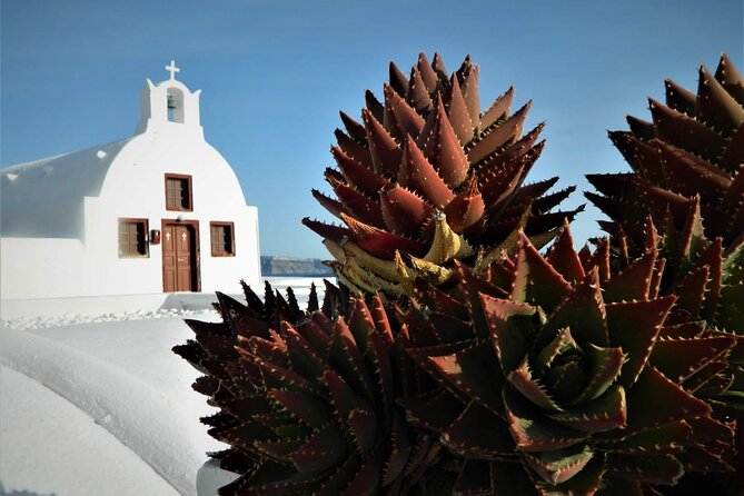 Stress-Free Santorini Shore Excursion: Private Highlights Tour - A smooth Santorini cruise start, from cable car top to safe reboarding